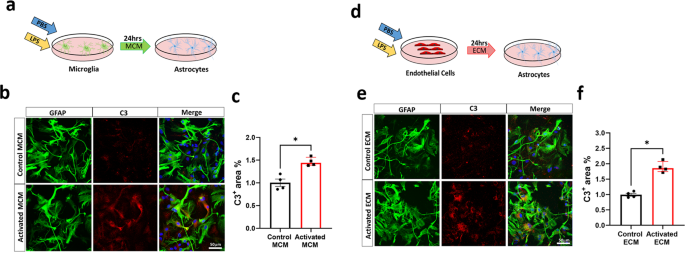 Activated endothelial cells induce a distinct type of astrocytic reactivity