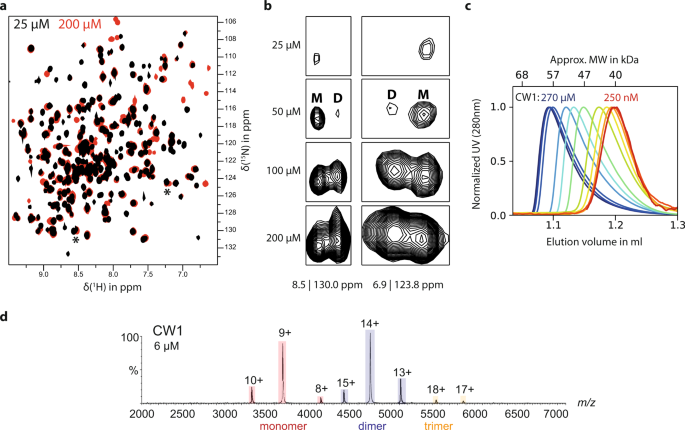 Distinct dissociation rates of murine and human norovirus p-domain dimers suggest a role of dimer stability in virus-host interactions
