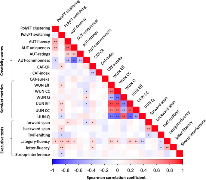 An investigation of the cognitive and neural correlates of