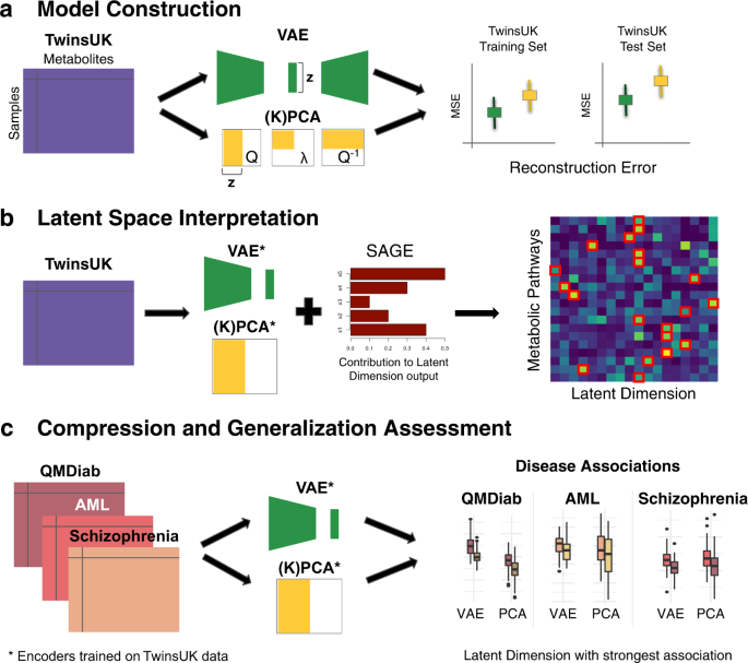 Variational autoencoders learn transferrable representations of  metabolomics data | Communications Biology