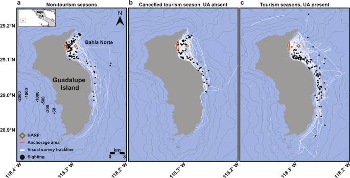 Ultrasonic antifouling devices negatively impact Cuvier's beaked whales near Guadalupe Island, México | Communications Biology
