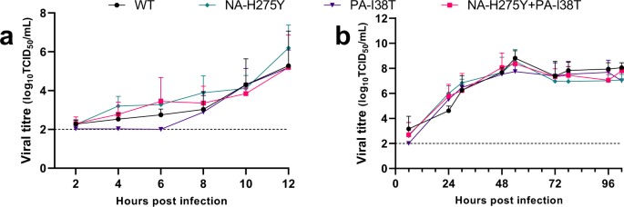 Assessing the fitness of a dual-antiviral drug resistant human influenza virus in the ferret model