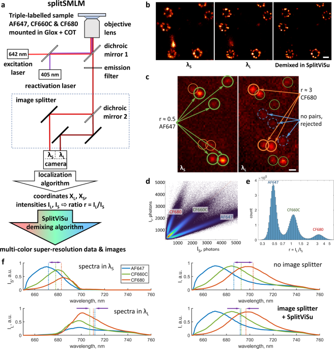 splitSMLM, a spectral demixing method for high-precision multi-color localization microscopy applied to nuclear pore complexes | Communications Biology