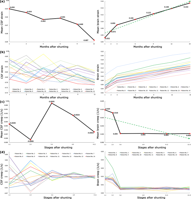 Long-term recovery behavior of brain tissue in hydrocephalus patients after  shunting