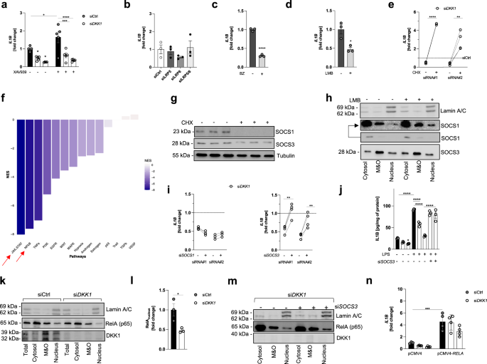 Admission Levels of DKK1 (Dickkopf-1) Are Associated With Future  Cardiovascular Death in Patients With Acute Coronary Syndromes