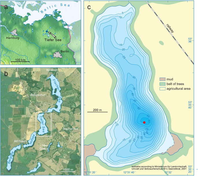 Early human impact on lake cyanobacteria revealed by a Holocene ... - Nature.com