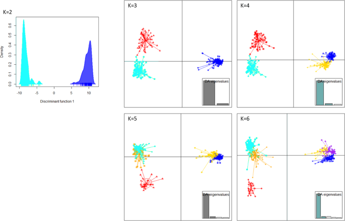 Scatter plot of the first two principal components of 62 Coffea