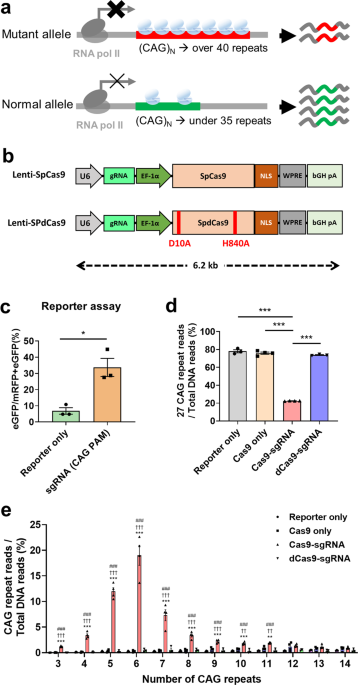 DNA double-strand break-free CRISPR interference delays ... - Nature.com