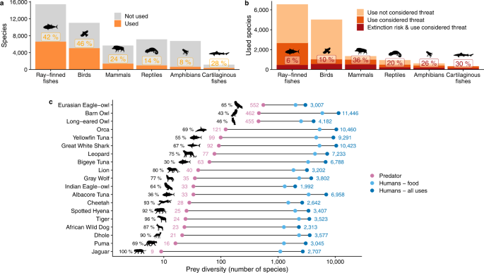 Humanity's diverse predatory niche and its ecological ... - Nature.com
