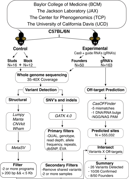 Whole genome analysis for 163 gRNAs in Cas9-edited mice reveals ... - Nature.com