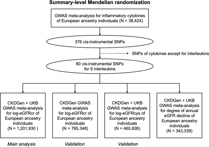 Mendelian randomization uncovers a protective effect of interleukin ... - Nature.com