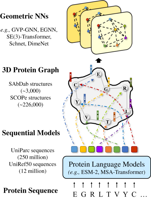 Integration of pre-trained protein language models into geometric 
