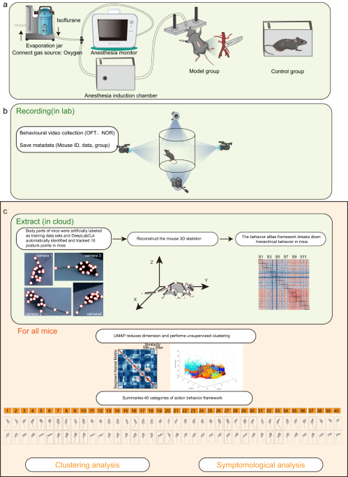 A three-dimensional virtual mouse generates synthetic training data for  behavioral analysis