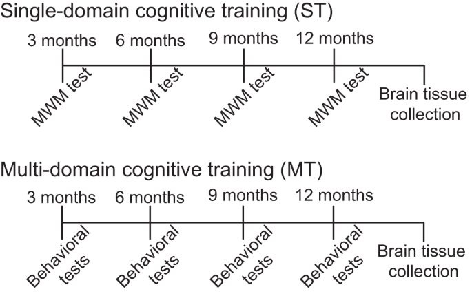 Long-term Multidomain Patterns of Change After Traumatic Brain Injury