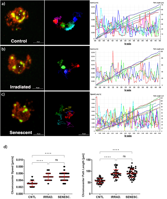 https://media.springernature.com/m685/springer-static/image/art%3A10.1038%2Fs42003-023-05641-0/MediaObjects/42003_2023_5641_Fig3_HTML.png