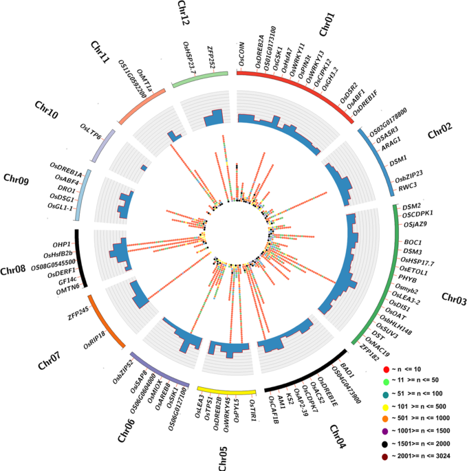 Superior haplotypes of key drought-responsive genes reveal 