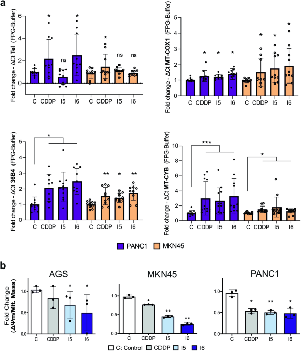 Platinum iodido drugs show potential anti-tumor activity 