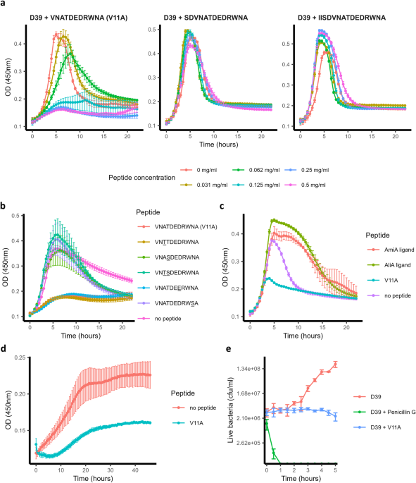 Klebsiella pneumoniae peptide hijacks a streptococcus pneumoniae permease to subvert pneumococcal growth and colonization