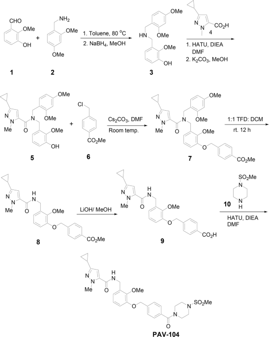 A viral assembly inhibitor blocks sars-cov-2 replication in airway epithelial cells