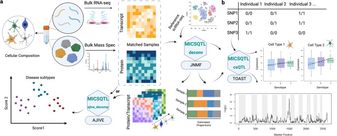Multimodal joint deconvolution and integrative signature selection in proteomics
