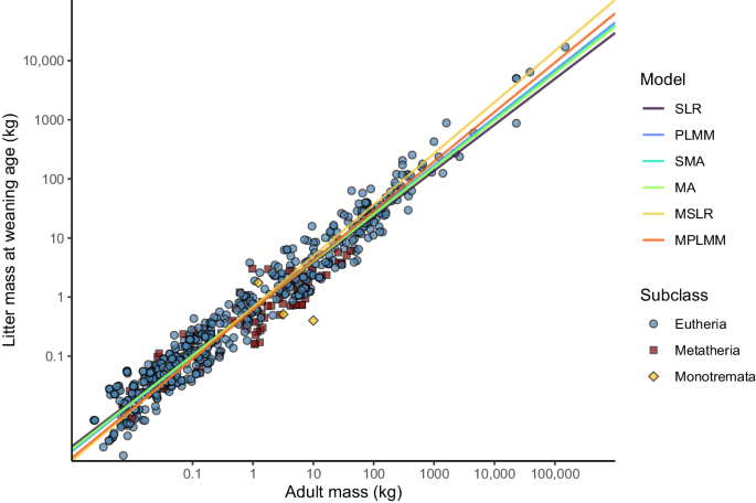 Quantifying maternal investment in mammals using allometry