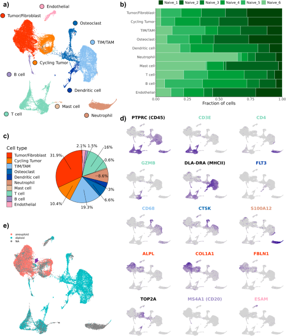Single-cell rna sequencing reveals the cellular and molecular heterogeneity of treatment-naïve primary osteosarcoma in dogs