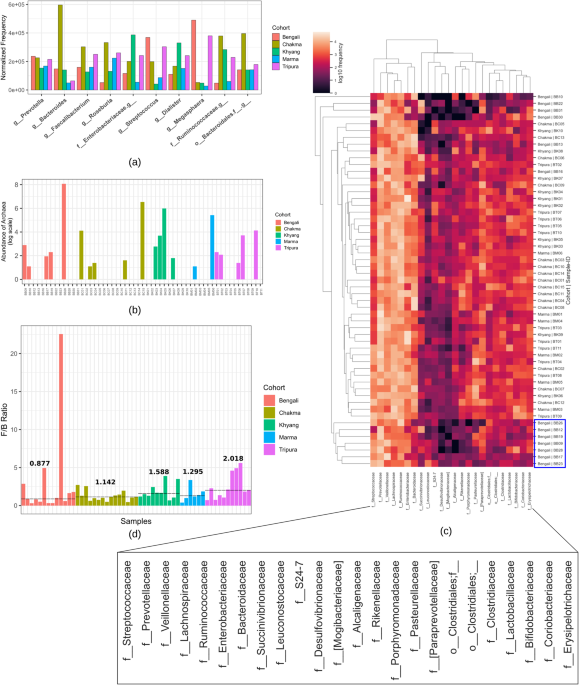 Gut microbiome composition reveals the distinctiveness between the bengali people and the indigenous ethnicities in bangladesh