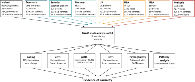Gwas meta-analysis reveals key risk loci in essential tremor pathogenesis