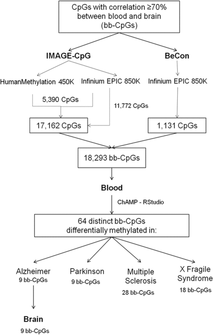 ipamorelin selective ghrp Ipamorelin vs GHRP-2 vs GHRP-6: Complete Growth Hormone Secretagogue  Research Comparison