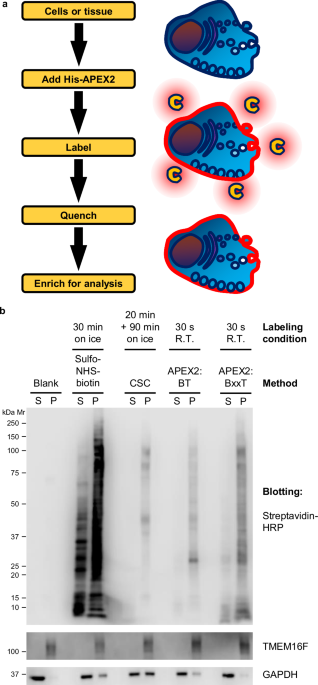 scientific breakthroughs