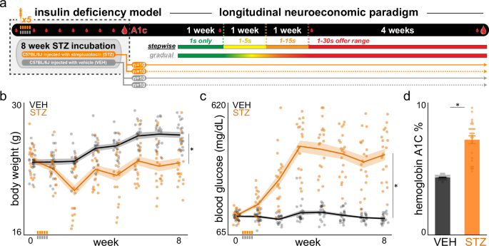 Neuroeconomically dissociable forms of mental accounting are 