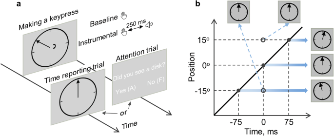 Predicted action-effects shape action representation through pre ...