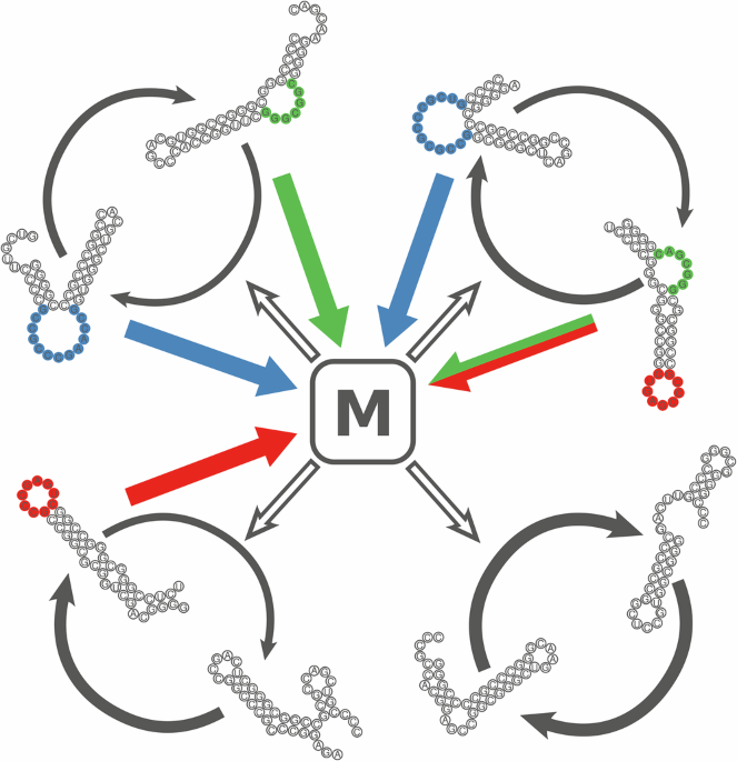 The dynamics of prebiotic take-off: the transfer of functional RNA communities from mineral surfaces to vesicles