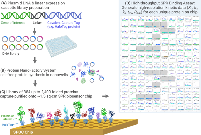 Protein Scan Multiplexed proteomic biosensor platform for label-free real-time ...