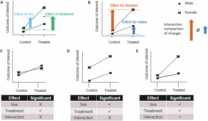 Navigating the paradigm shift of sex inclusive preclinical research and ...