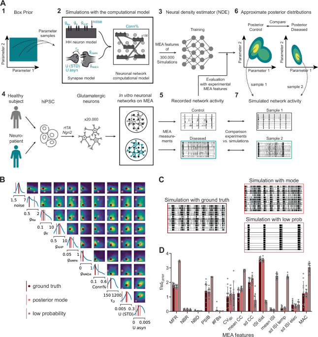 Automated inference of disease mechanisms in patient-hiPSC-derived neuronal networks