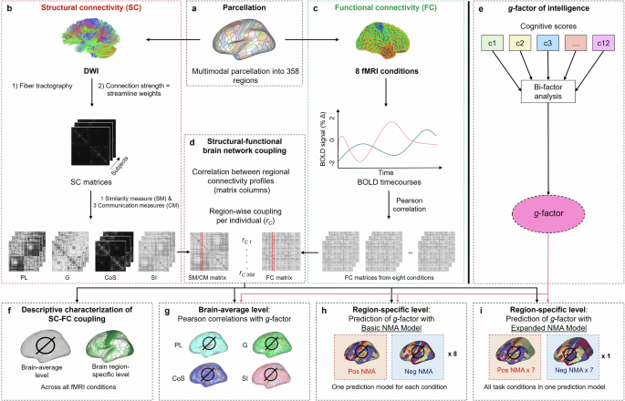 Structural-functional brain network coupling during cognitive demand reveals intelligence-relevant communication strategies