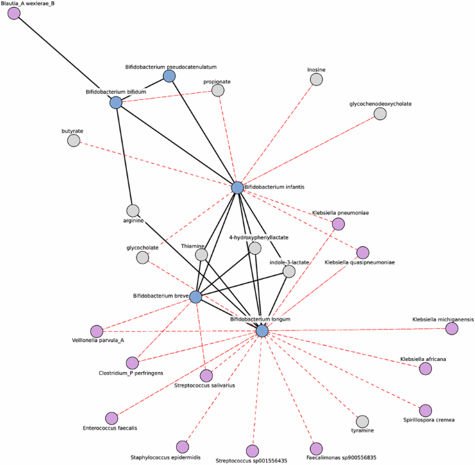 Bifidobacterium deficit in United States infants drives prevalent gut dysbiosis
