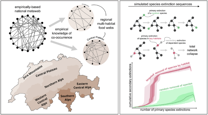 Species loss in key habitats accelerates regional food web disruption ...