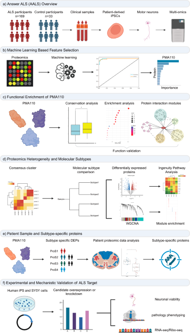 Endura® 378GHVTL - Superior Glove, image size:685x1196