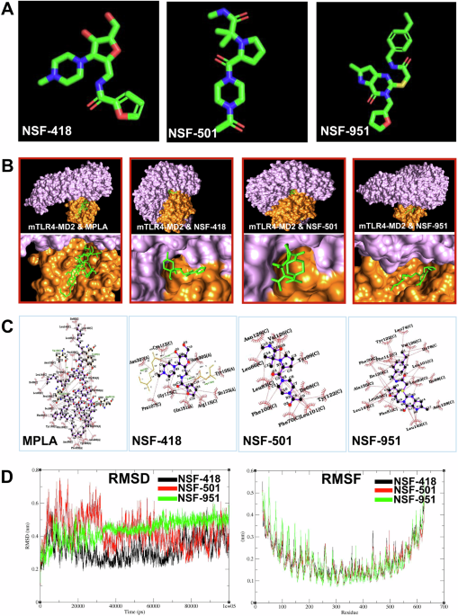 Adjuvant activity of a small molecule TLR4 agonist discovered via structure-based virtual screening