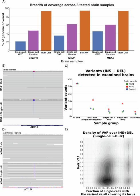 Diagram of the single cell long-read whole genome sequencing workflow
