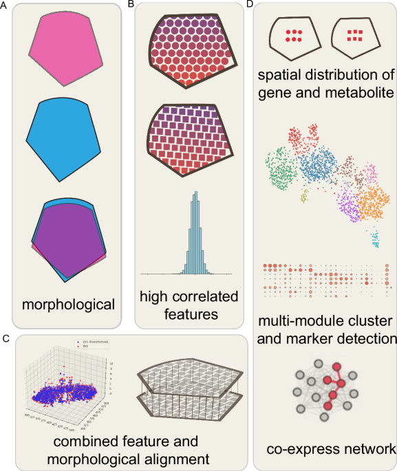 haCCA: multi-module Integration of spot-based spatial transcriptomes and metabolomes - Communications Biology