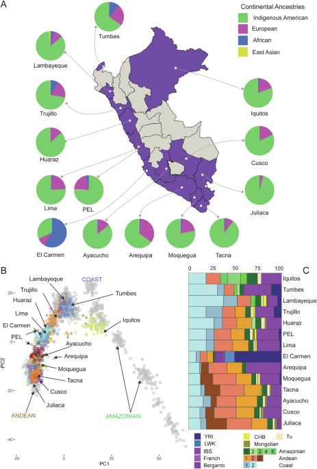 Unraveling the genetic landscape and admixture dynamics of urban populations across Peru - Nature