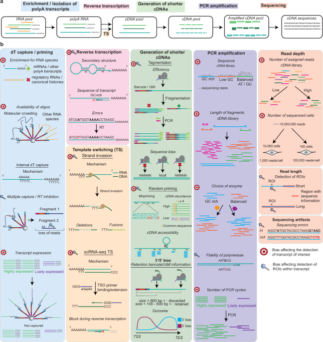 A practical guide to targeted single-cell RNA sequencing technologies - Communications Biology
