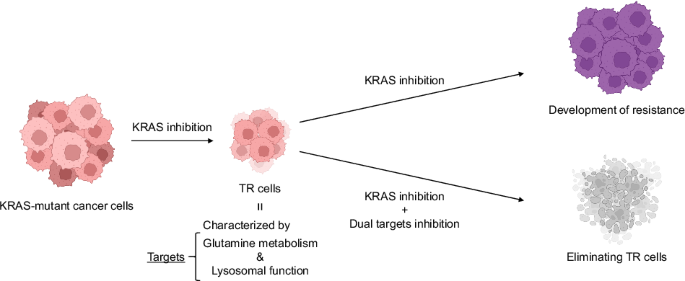 kras mutation and glutathion glynac Dual targeting of glutamine metabolism lysosomal function in eliminating drug-tolerant KRAS-mutant cancer cells Dr.Althea: Moisturizer Glonish Size:Single pack