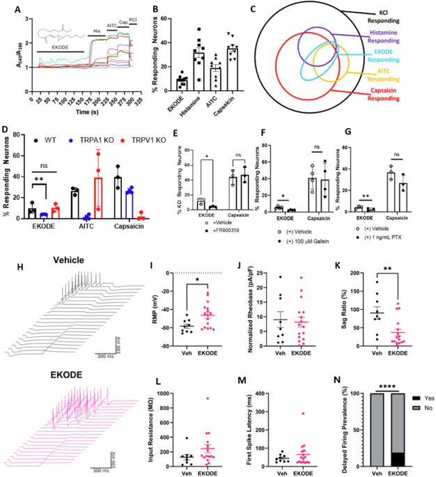 Metabolic sensor Gpr35 links dietary lipids to itch mediating neural circuits