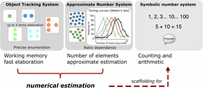 Towards a unified biology of vertebrate number sense