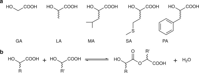 Simple prebiotic synthesis of high diversity dynamic combinatorial polyester libraries