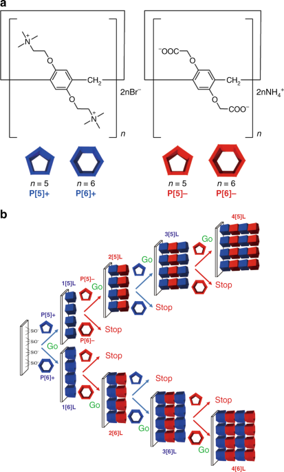 Ring Shape Dependent Self Sorting Of Pillar N Arenes Assembled On A Surface Communications Chemistry
